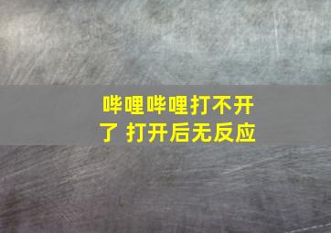 哔哩哔哩打不开了 打开后无反应